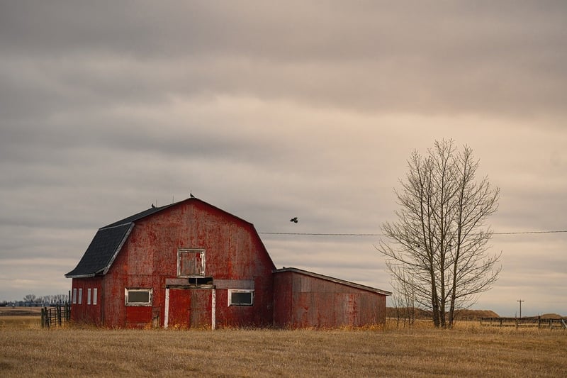 Rustic Barn Venues